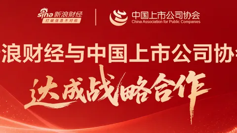 崔道植启示录：陈思诚揭示不凡之路的终极指南